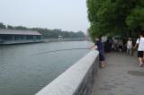 Click for preview picture of "FC295 (3000 x 1994)"
