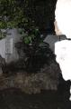 Click for preview picture of "MN26 (1329 x 2000)"