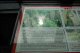 Click for preview picture of "NM13 (3000 x 1994)"