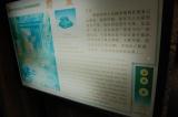 Click for preview picture of "NM20 (3000 x 1994)"