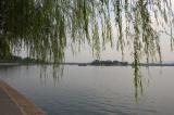 Click for preview picture of "SP215 (3000 x 1994)"