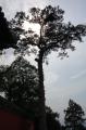 Click for preview picture of "SP25 (1329 x 2000)"